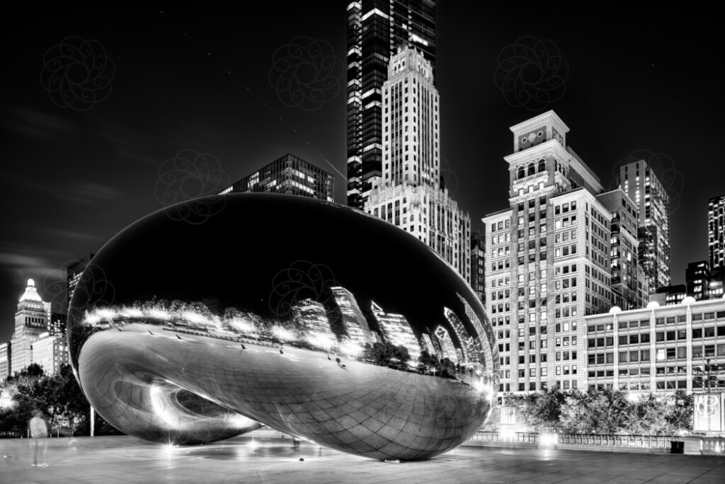 Chicago Nightscape
